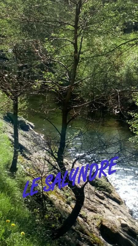 Gite Du Devez Des Bruyeres Prades  Exteriör bild